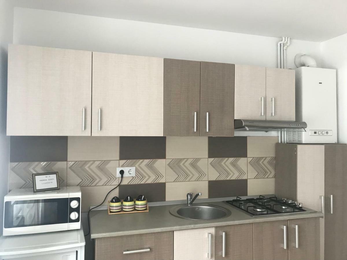 Garsoniera Family Apartman Szászbuda Kültér fotó